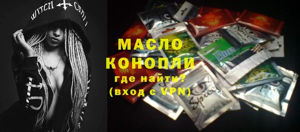 гашик Верея