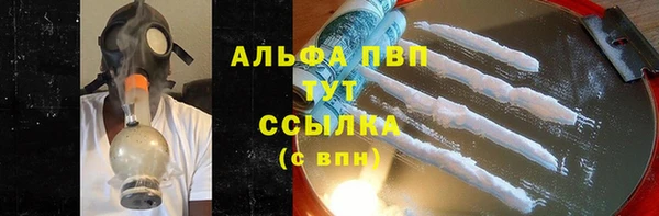 гашик Верея