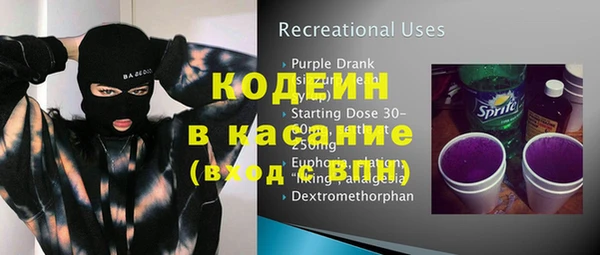 гашик Верея