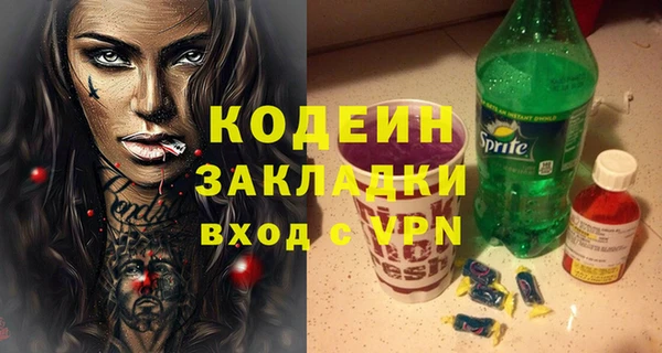 гашик Верея