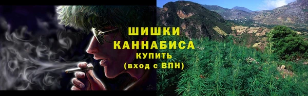 гашик Верея