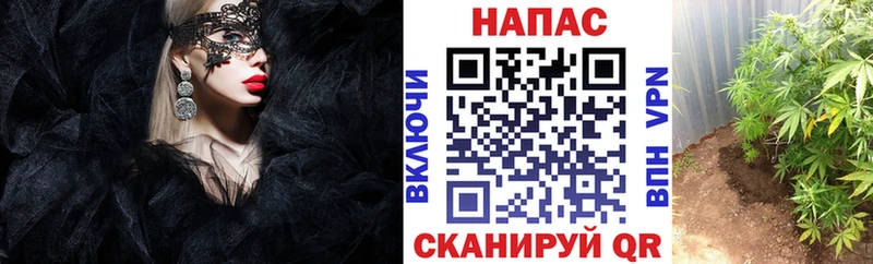 Шишки марихуана AK-47  где продают   Сургут 